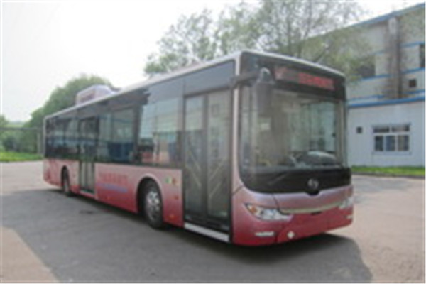 黃海DD6129CHEV5公交車（柴油/電混動(dòng)國(guó)四24-38座）