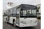 奇瑞萬達WD6850HNGA公交車（天然氣國五15-30座）