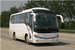 金龍XMQ6759AYN5C客車（天然氣國五24-33座）