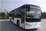 安凱HFF6105G03EV公交車（純電動10-37座）