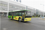 亞星JS6101GHBEV17公交車（純電動(dòng)12-36座）