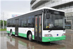 揚子江WG6120BEVHM7公交車（純電動29-45座）