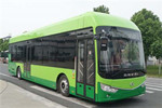 安凱HFF6120G03FCEV公交車（燃料電池20-39座）