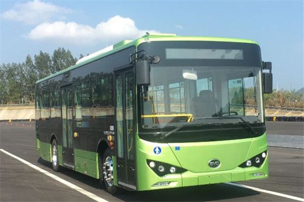 比亞迪BYD6101LGEV12公交車（純電動20-39座）