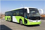 福田歐輝BJ6147C8BTD-1公交車（天然氣國五25-54座）